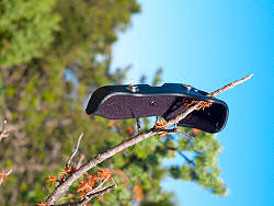 Wanderung zum Osorscica 2006