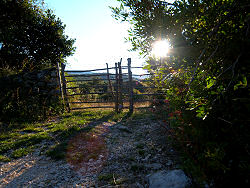 Wanderung zum Osorscica 2006